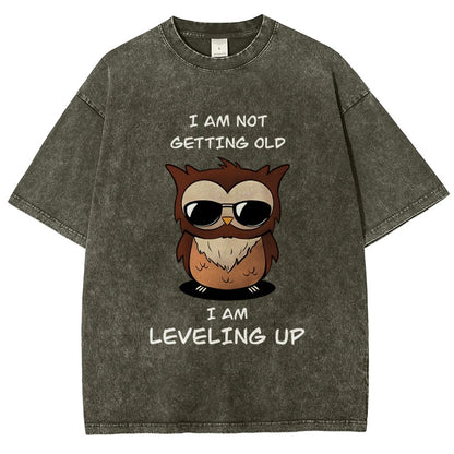 Leveling Up Vintage Distressed T-shirt