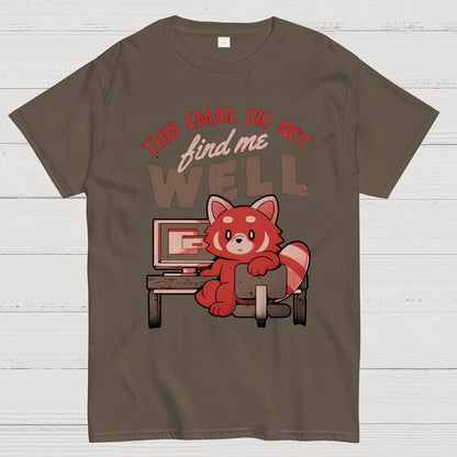 This Email Did Not Find Me Well Geek T-Shirt