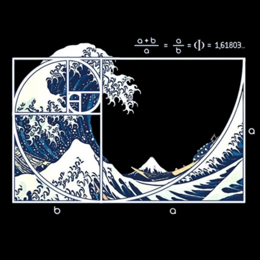 The Great Fibonacci Wave Science Geek Washed Long Sleeve Tee