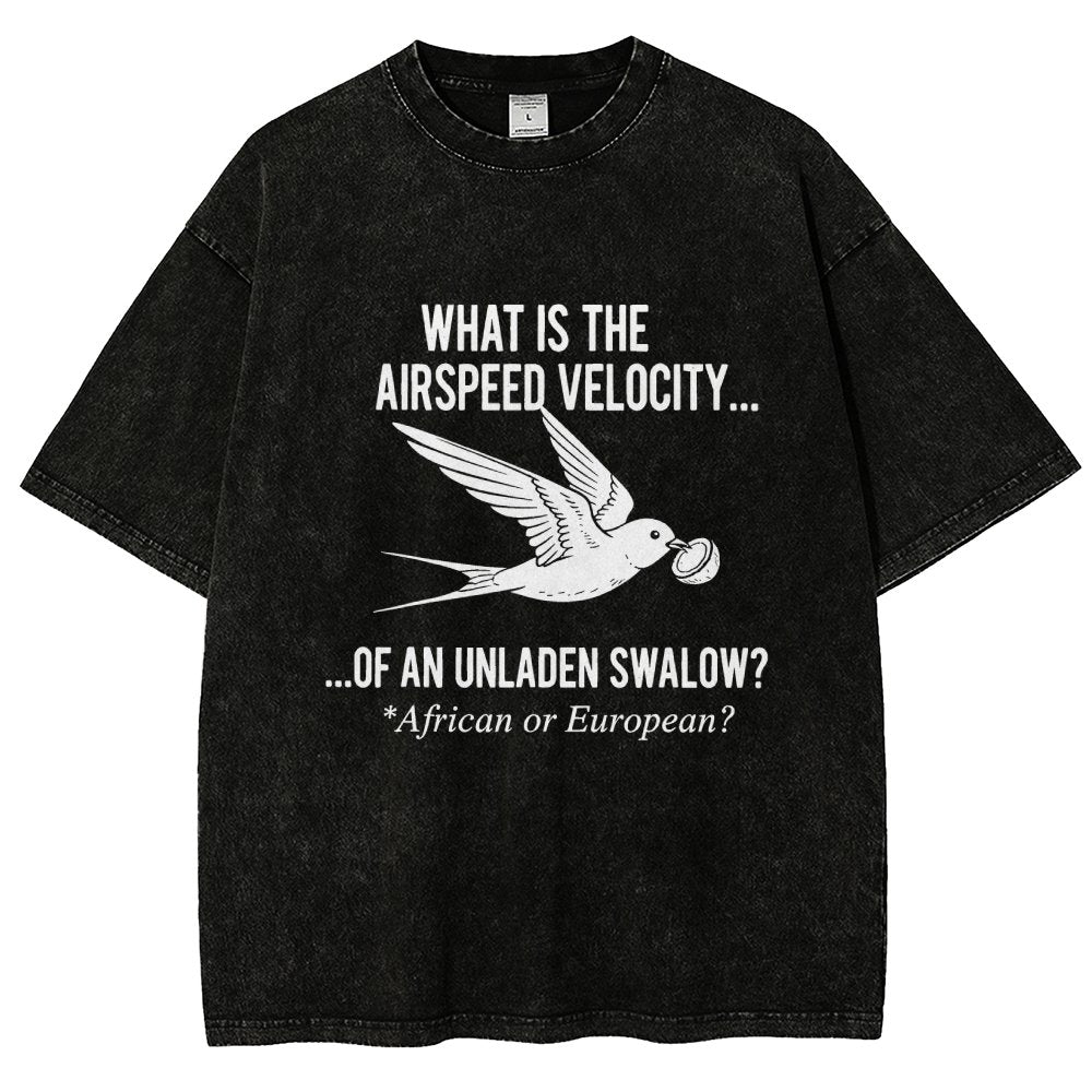 What Is The Airspeed Velocity...Art Print Vintage Distressed T-shirt