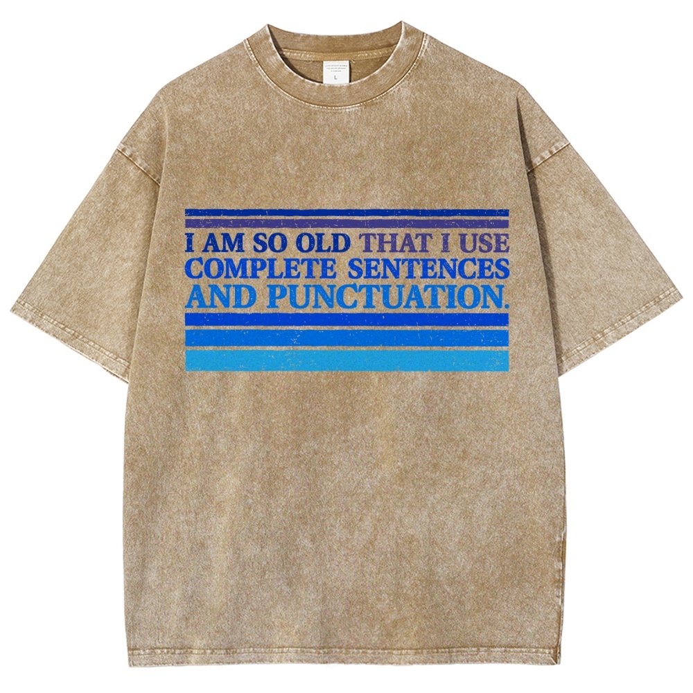Complete Sentences and Punctuation Vintage Distressed T-shirt