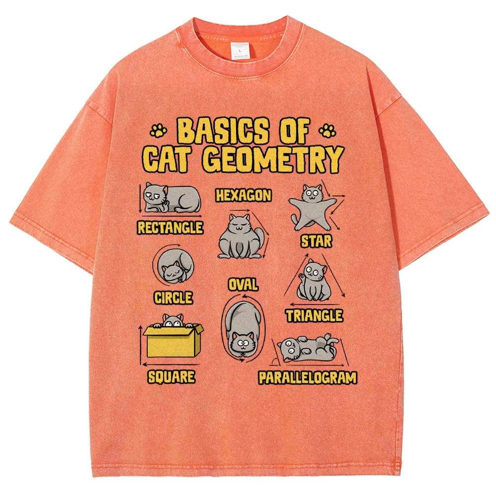 Basics of Cat Geometry Vintage Distressed T-shirt