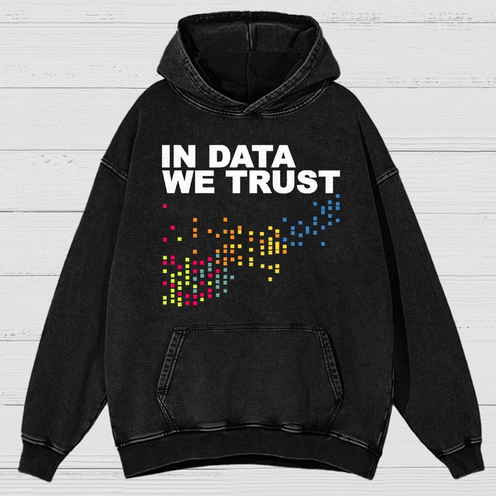 In Big Data We Trust Vintage Distressed Hoodie