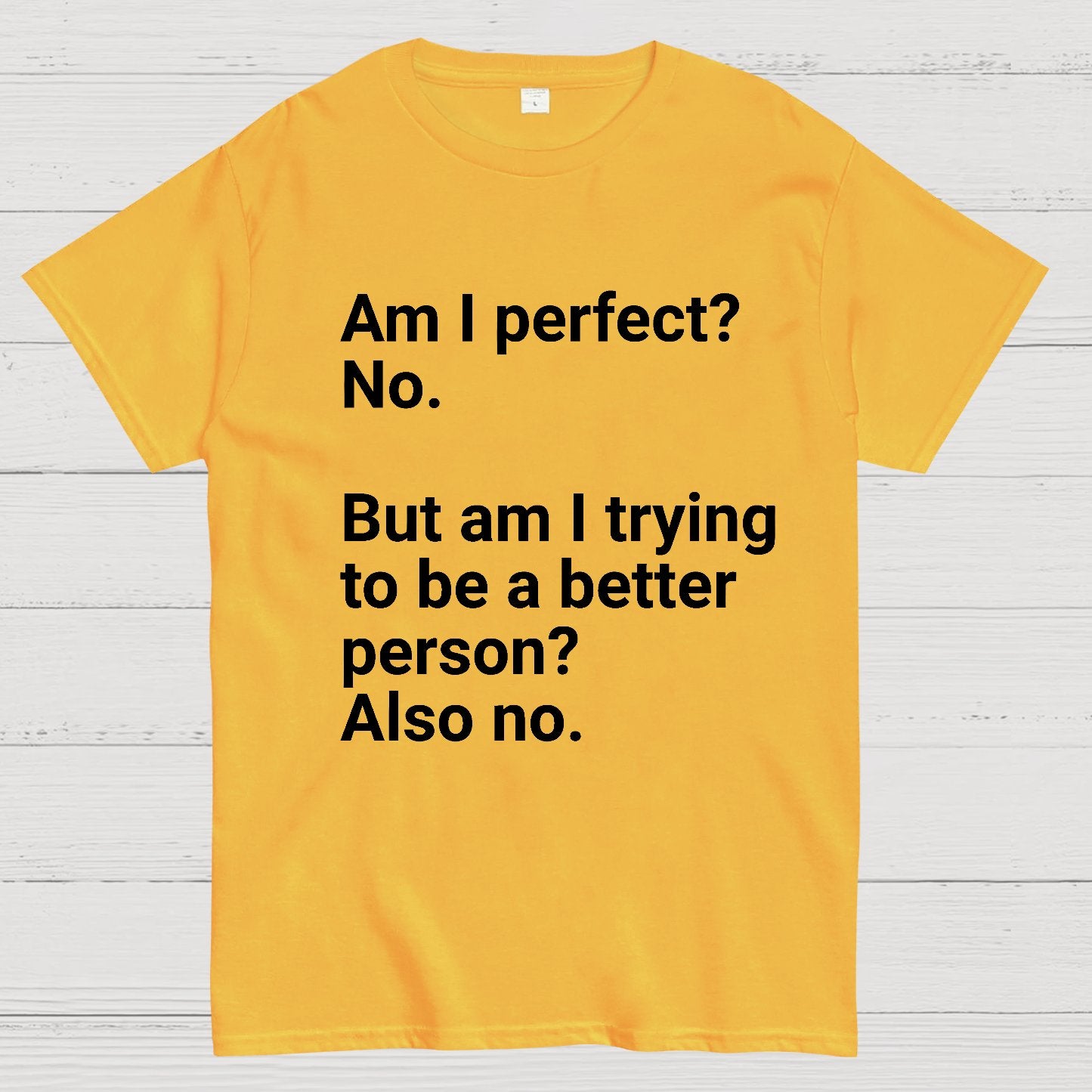 Am I Perfect No Nerdy T-Shirt