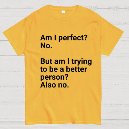 Am I Perfect No Nerdy T-Shirt