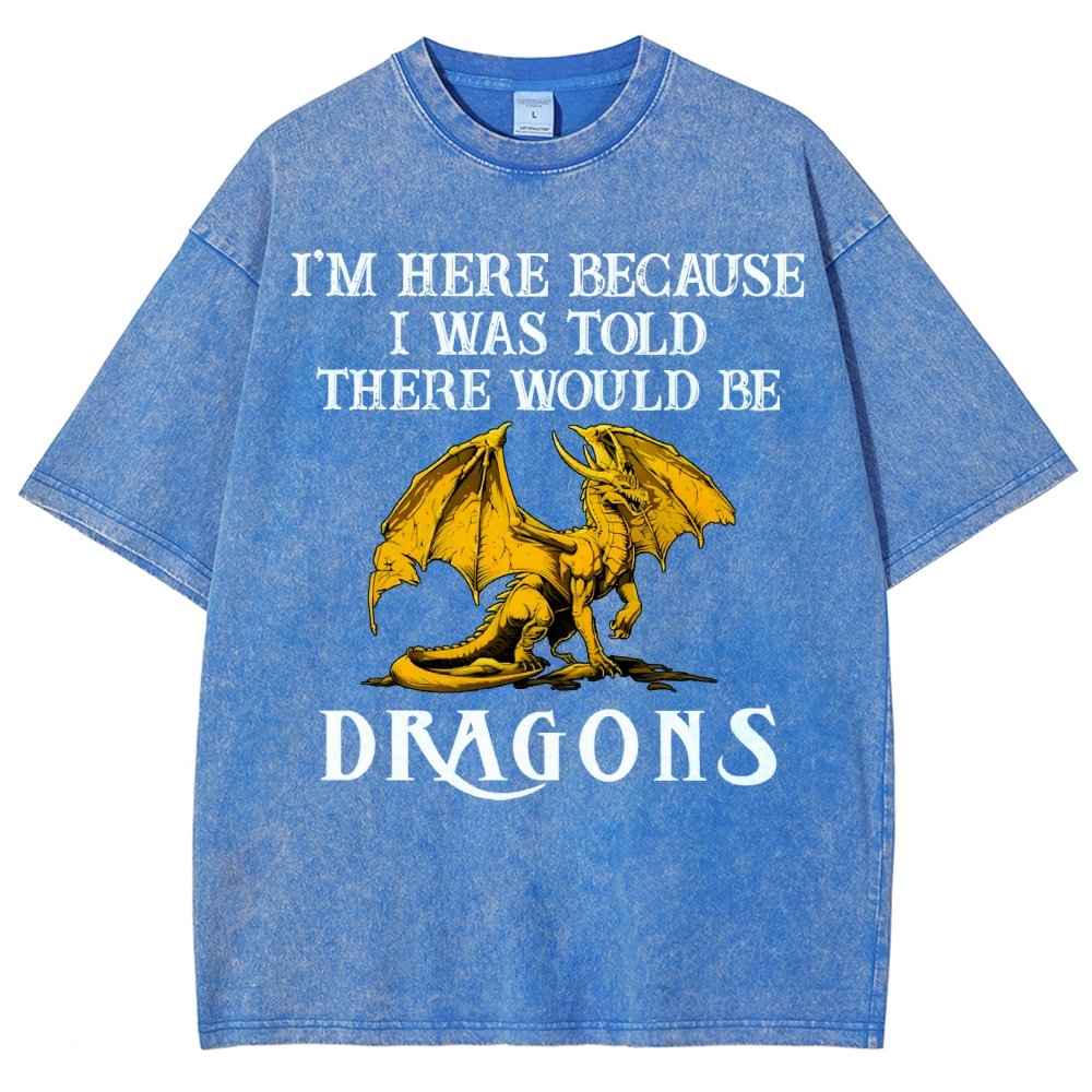I'm Here Because I Was Told There Would Be Dragons Vintage Distressed T-shirt
