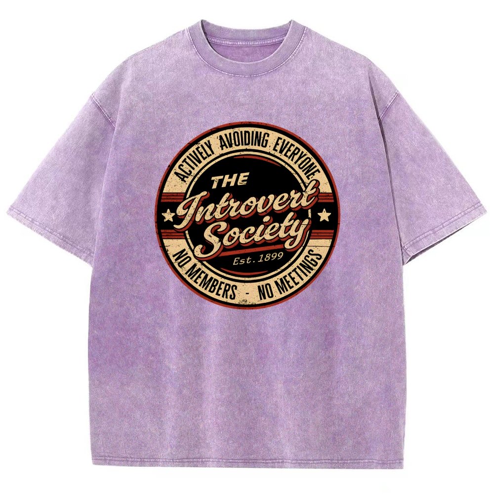 The Introvert Society Vintage Distressed T-shirt