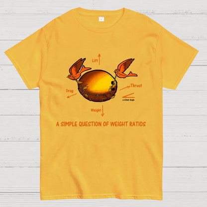 A Simple Question Of Weight Ratios Geek T-Shirt