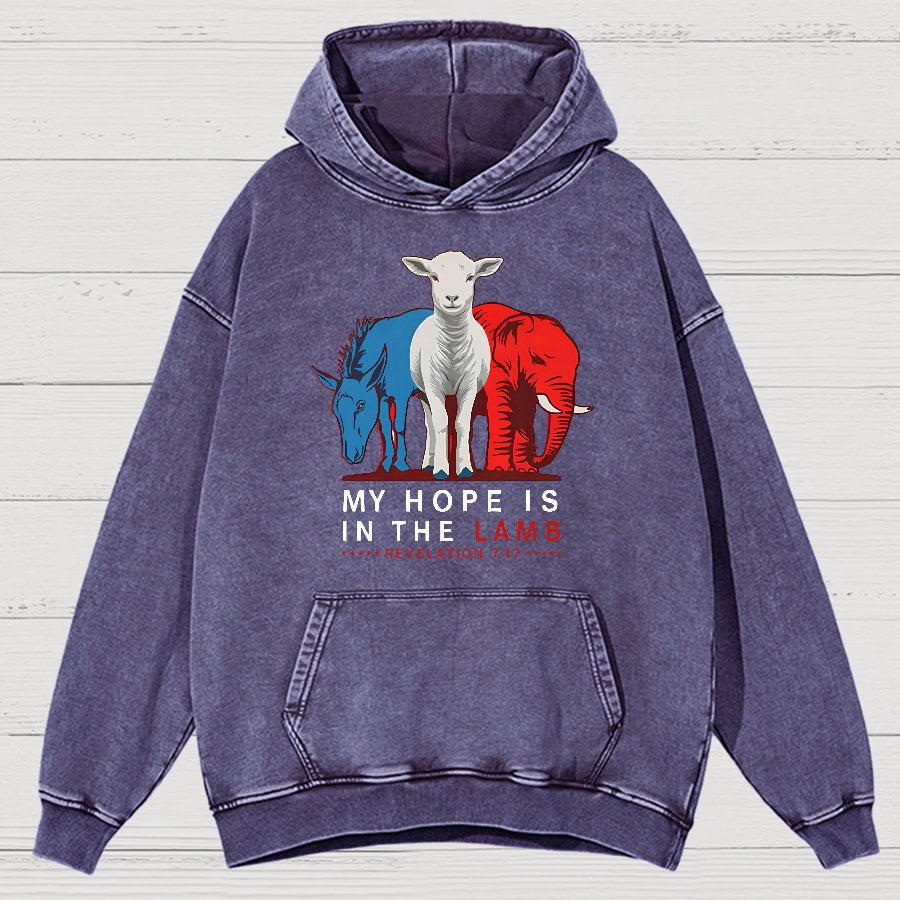 My Hope Is In The Lamb Vintage Distressed Hoodie