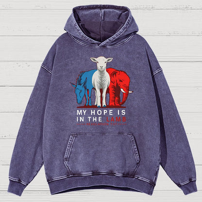 My Hope Is In The Lamb Vintage Distressed Hoodie