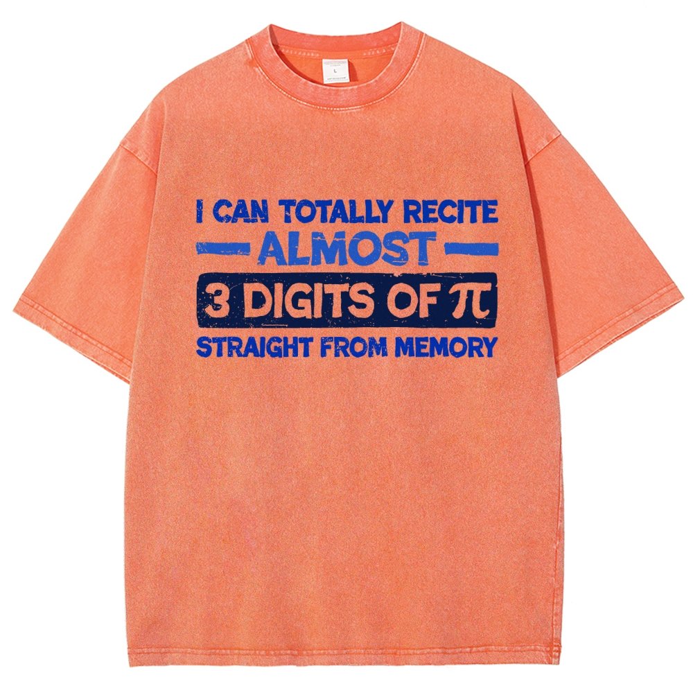 3 Digits Of Pi Vintage Distressed T-shirt
