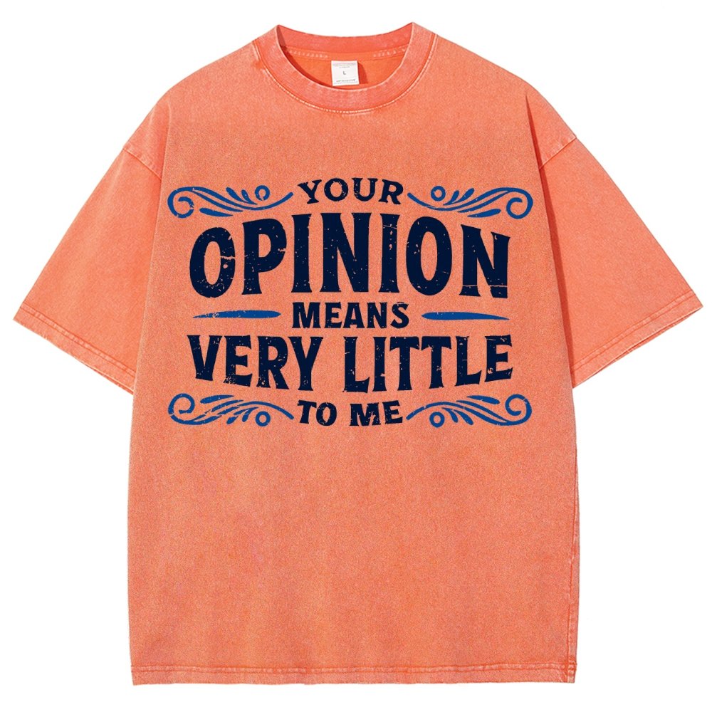 Your Opinion Means Very Little Vintage Distressed T-shirt