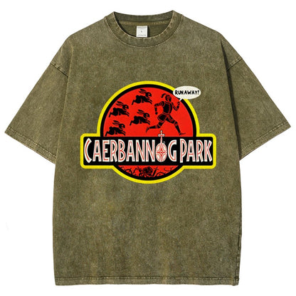 Greenwood Park Vintage Distressed T-shirt