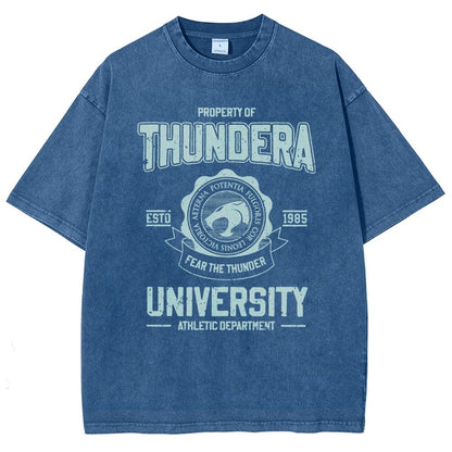 Mystic Valley University Vintage Distressed T-shirt