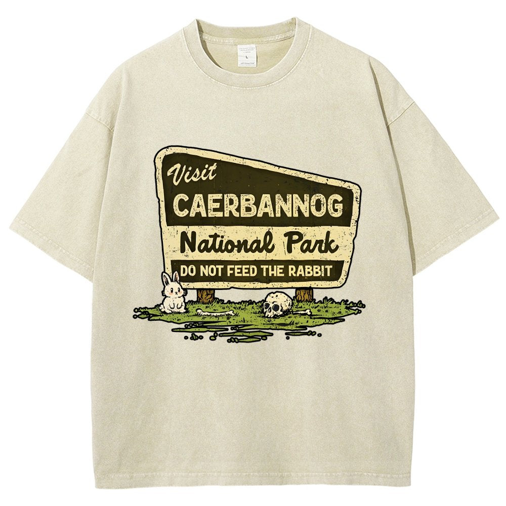 Mystic Valley National Park Vintage Distressed T-shirt