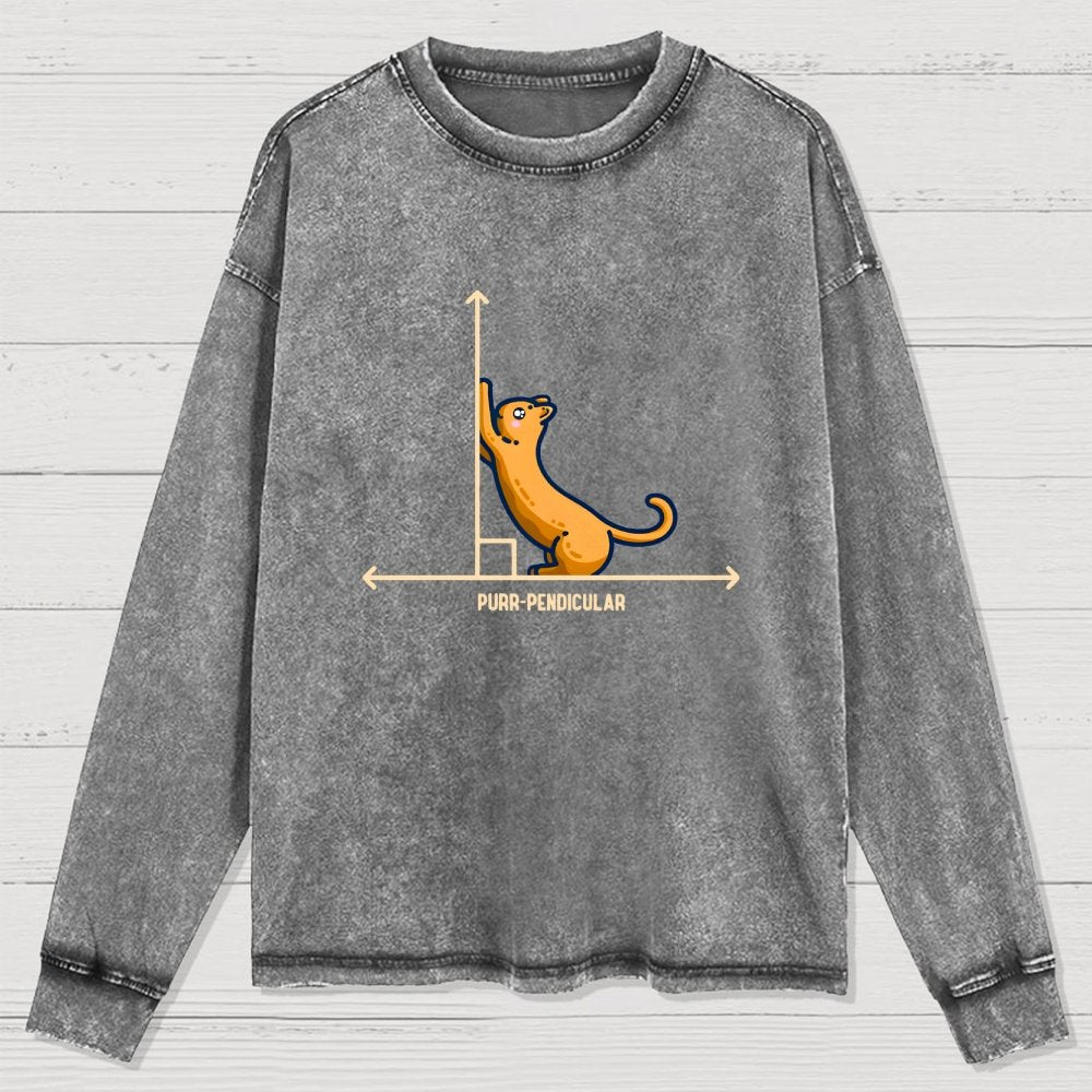 Purr-Pendicular Cute Maths Cat Premium Washed Long Sleeve Tee