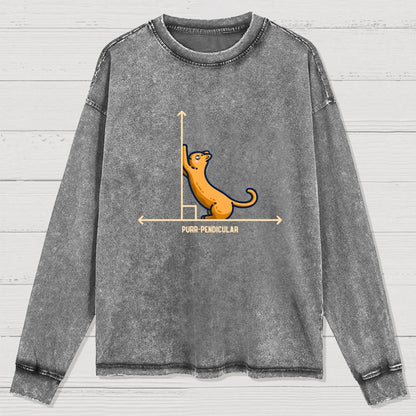 Purr-Pendicular Cute Maths Cat Premium Washed Long Sleeve Tee