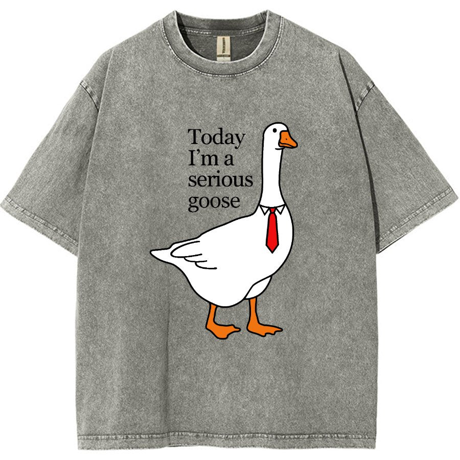 Today I'm A Serious Goose Vintage Distressed T-shirt