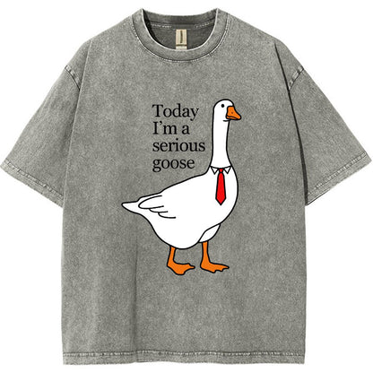 Today I'm A Serious Goose Vintage Distressed T-shirt