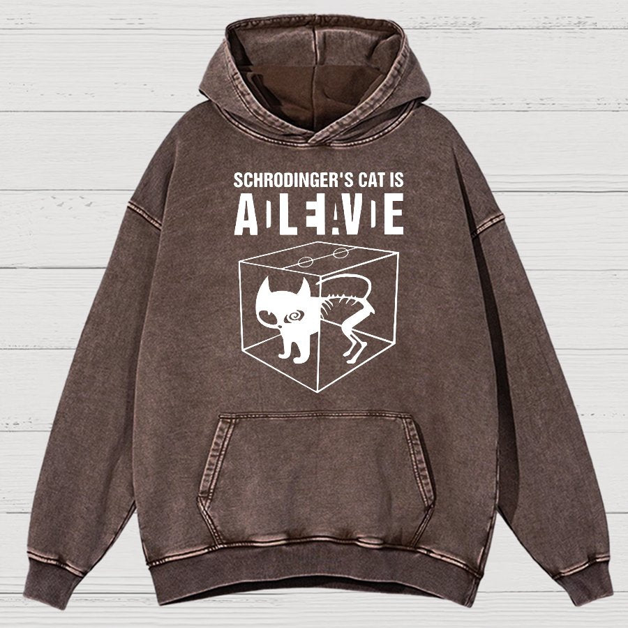 Schrodinger's Cat Vintage Distressed Hoodie