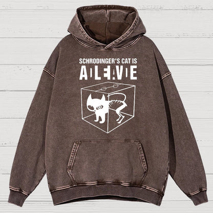 Schrodinger's Cat Vintage Distressed Hoodie