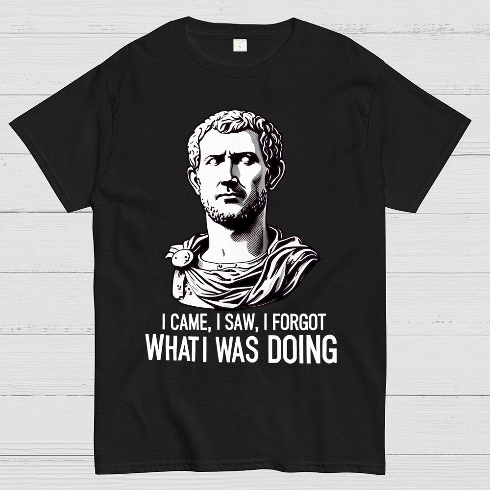 I Came  I saw  I forgot What I was Doing Geek T-Shirt