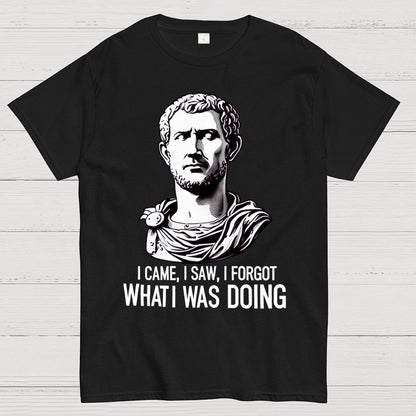 I Came  I saw  I forgot What I was Doing Geek T-Shirt