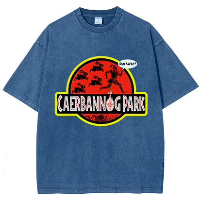 Greenwood Park Vintage Distressed T-shirt