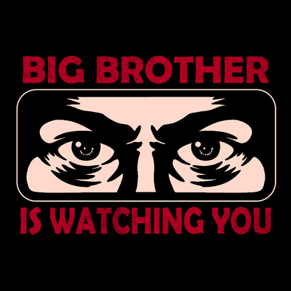 Ministry Of Truth Big Brother Is Watching You Sarcasm Geek T-Shirt
