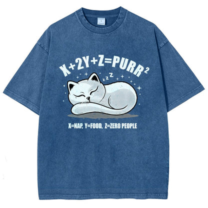 Purrfect Equation Vintage Distressed T-shirt