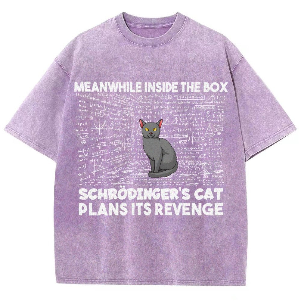 Inside The Box Schrödingers Cat Plans Its Revenge Vintage Distressed T-shirt