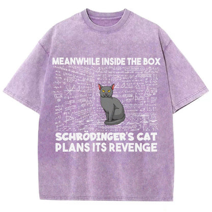 Inside The Box Schrödingers Cat Plans Its Revenge Vintage Distressed T-shirt