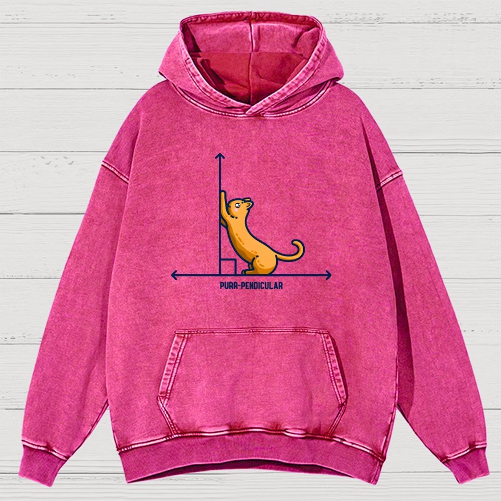 Purr-Pendicular Cute Maths Cat Premium Vintage Distressed Hoodie