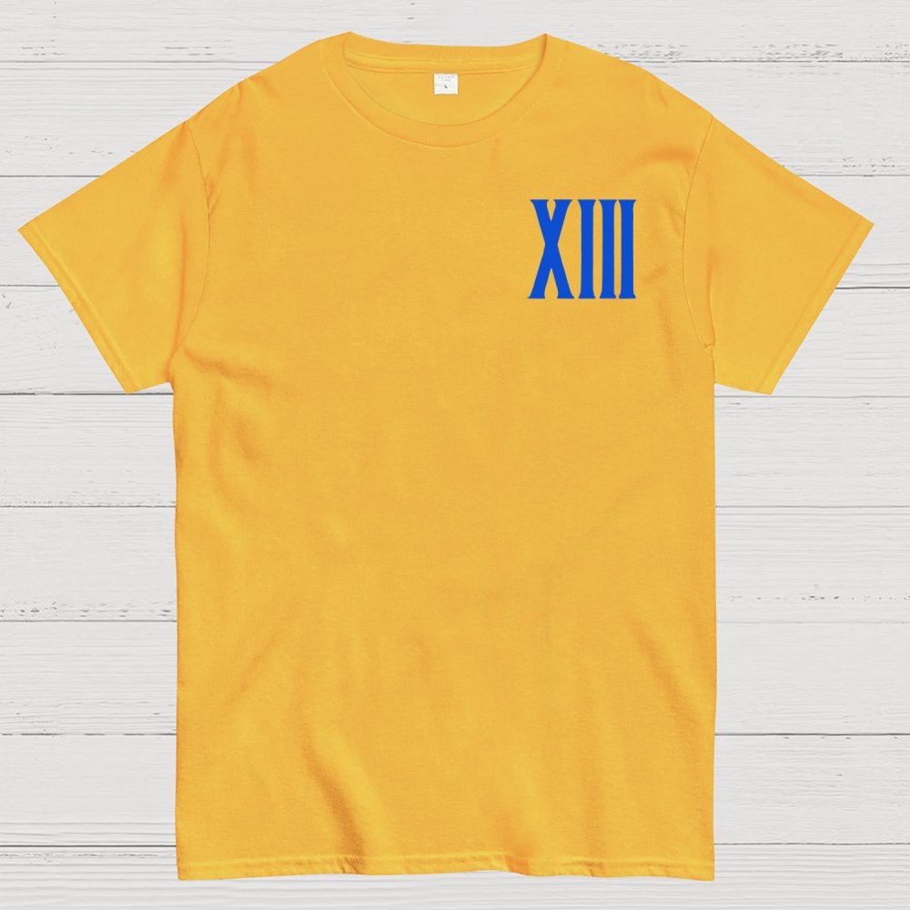 Mystery Tarot Front And Back Printing Geek T-Shirt