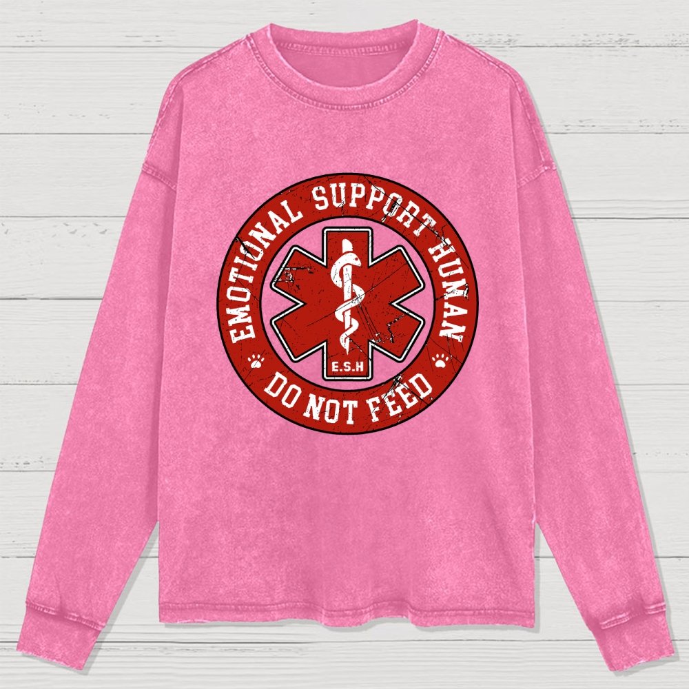 Do Not Feed Washed Long Sleeve Tee