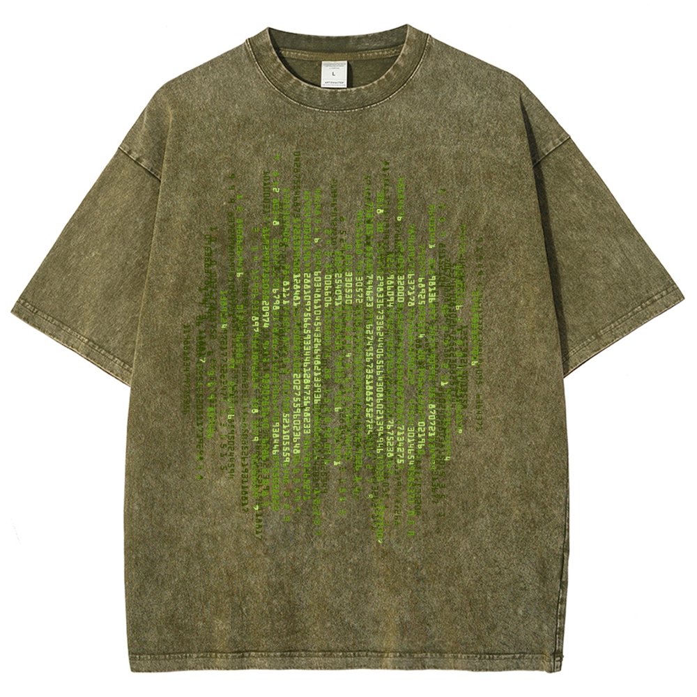 Enter The Pi Vintage Distressed T-shirt