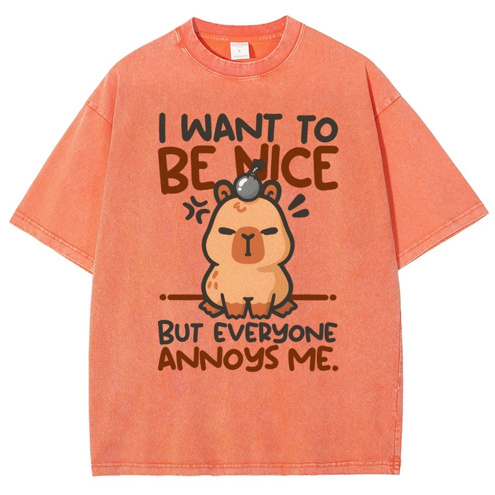Capy Wants To Be Nice Vintage Distressed T-shirt
