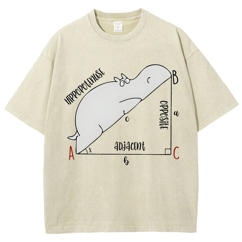 Interesting Math Teacher Math Lover Math Geek Vintage Distressed T-shirt