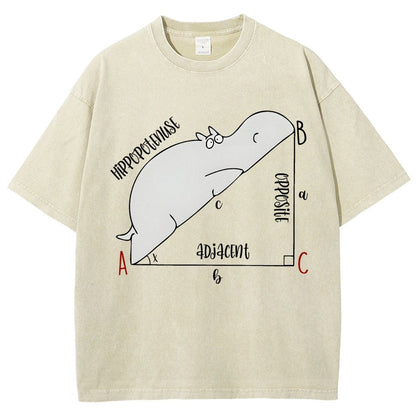 Interesting Math Teacher Math Lover Math Geek Vintage Distressed T-shirt