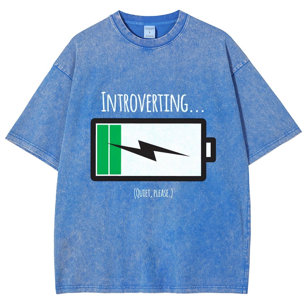 Introverting Vintage Distressed T-shirt