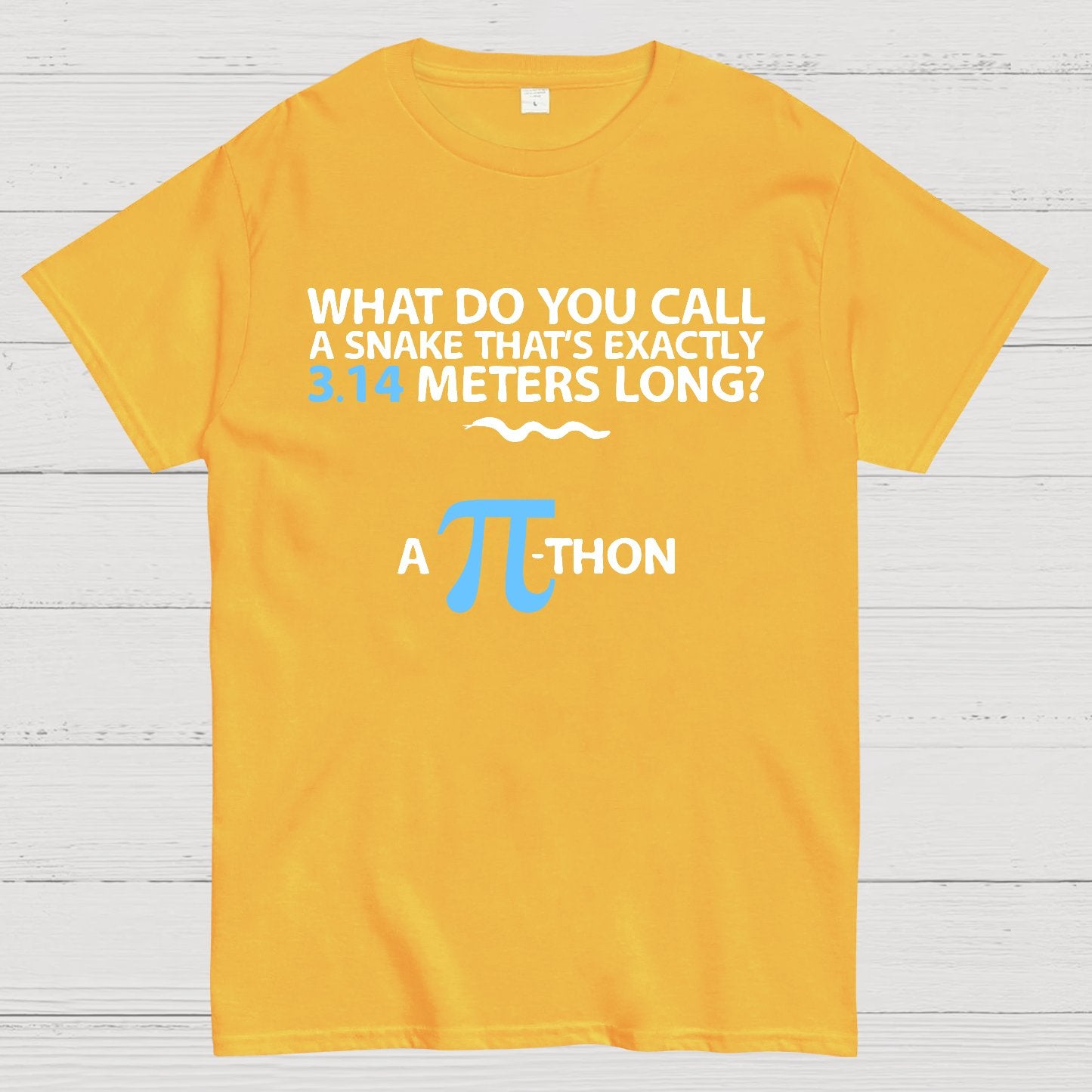 Funny Math Humor Snake Reptile 3.14 Pi Students Kids Geek T-Shirt