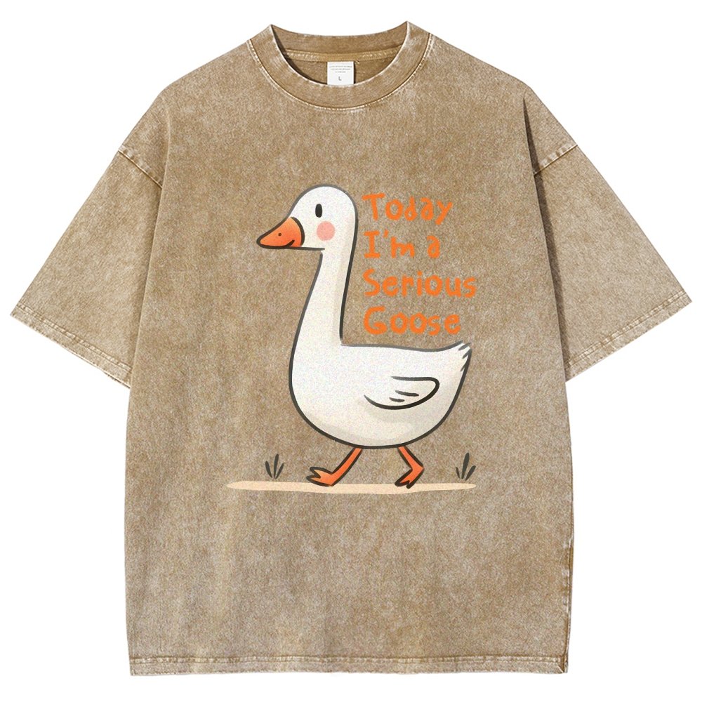 Today I’m A Serious Goose Vintage Distressed T-shirt