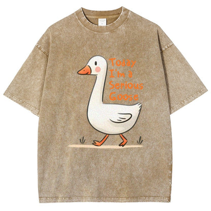 Today I’m A Serious Goose Vintage Distressed T-shirt