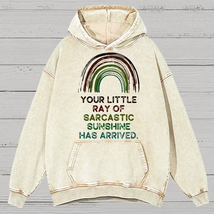 Your Little Ray of Sarcastic Sunshine Has Arrived Vintage Distressed Hoodie