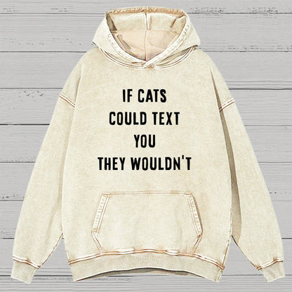 If Cats Could Text You Vintage Distressed Hoodie