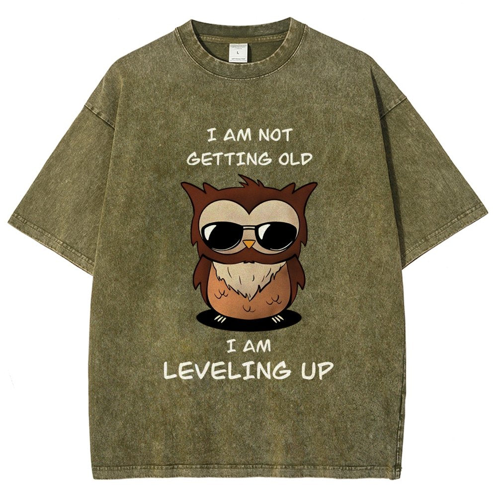 Leveling Up Vintage Distressed T-shirt