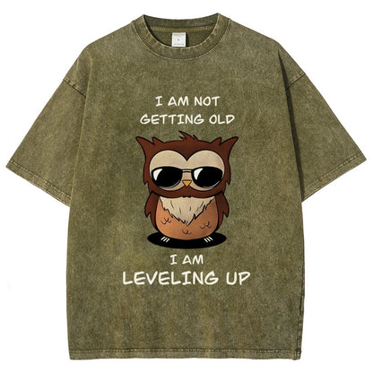 Leveling Up Vintage Distressed T-shirt