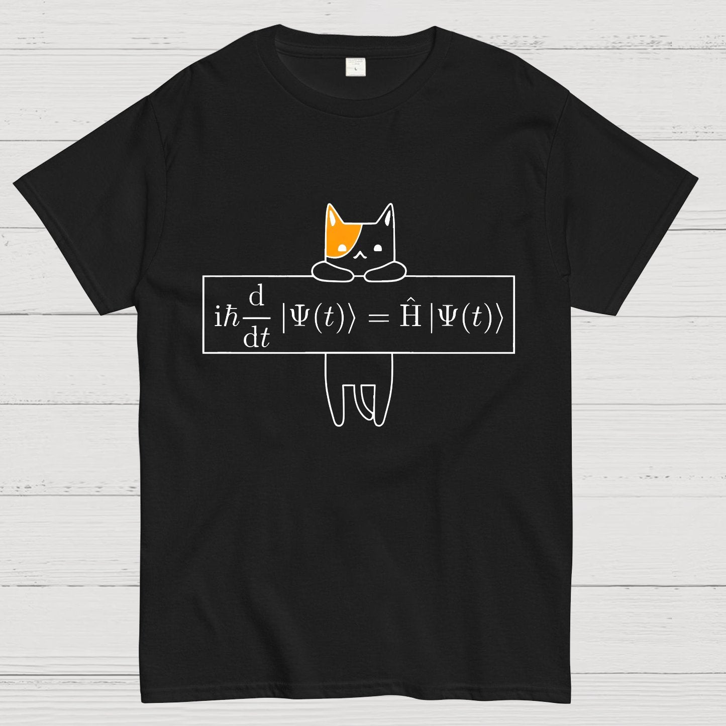 Schrödinger equation Geeky T-Shirt