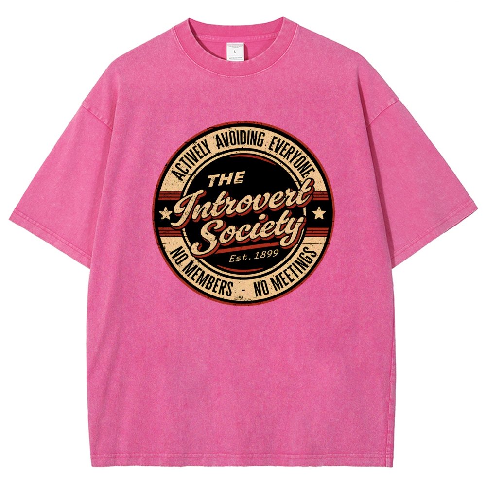 The Introvert Society Vintage Distressed T-shirt