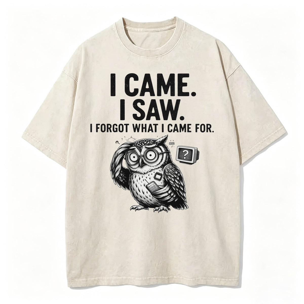 I Came. I Saw. I Forgot What I Came For. Funny Owl Vintage T-Shirt